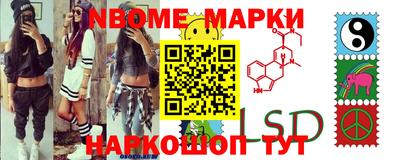 стаф Кулебаки