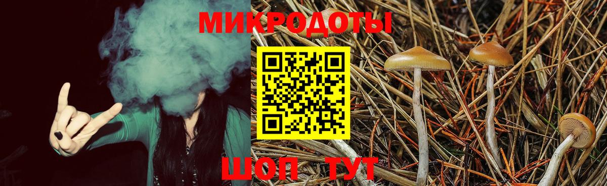 Галлюциногенные грибы Magic Shrooms Кизляр